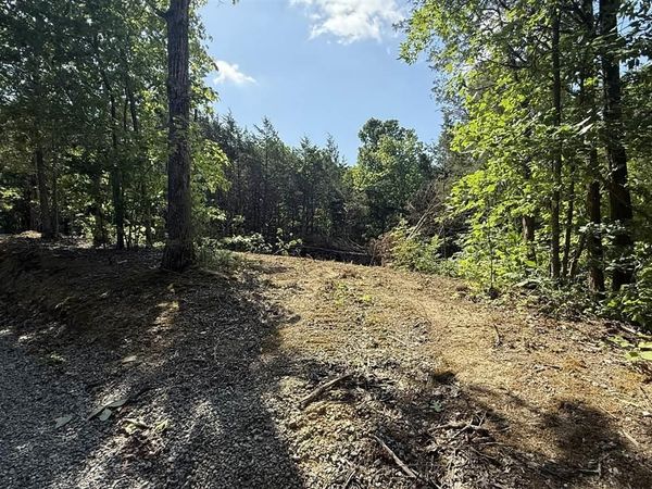 3030 Track 1 Bull Ridge Road , Burkesville, KY 42717