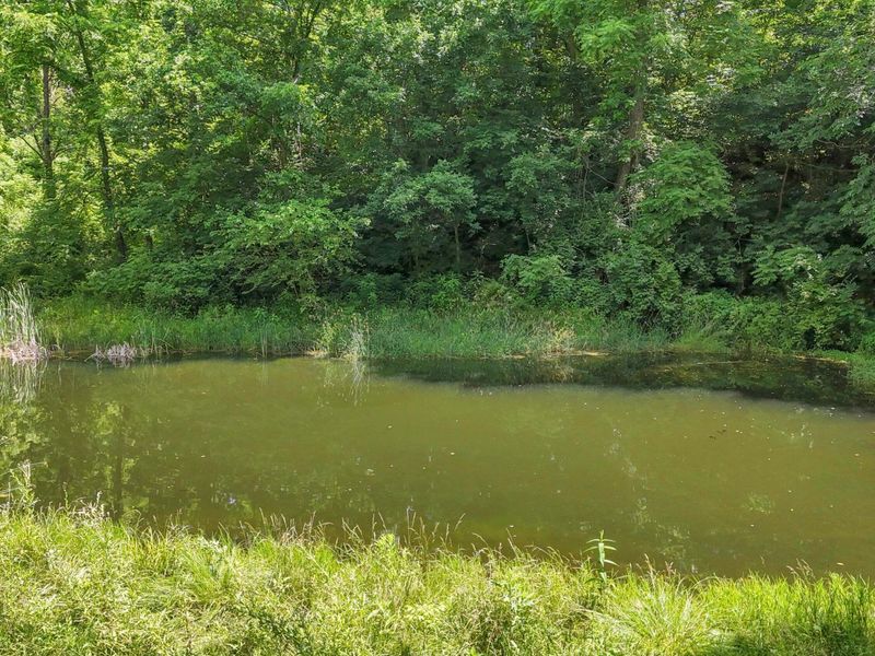 4161 Hamburg Road SW, Lancaster, OH 43130 Photo 63