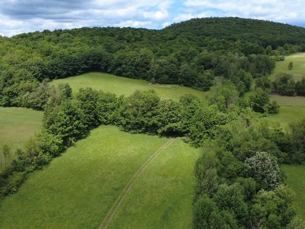 752 Loonenbergh Turnpike, Sharon Springs, NY 13459