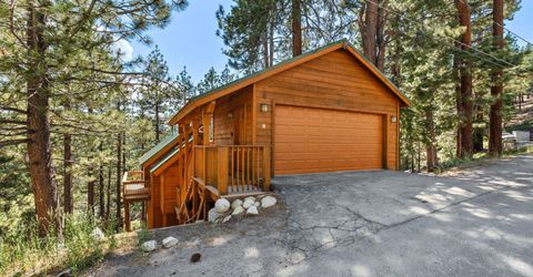 384 Maryanne Drive, Stateline, NV 89449 Photo
