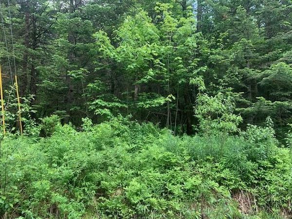 TBD Griffin Road, Stewartstown, NH 03576