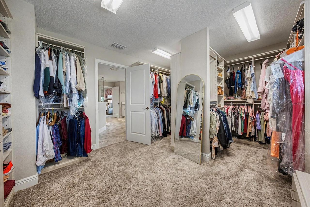 12834 Boggy Creek Drive, Riverview, FL 33579 Photo