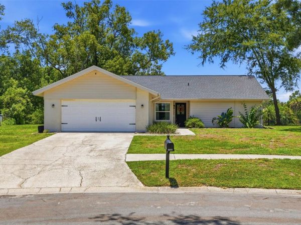 17508 BRANDYWINE DRIVE , LUTZ, FL 33549