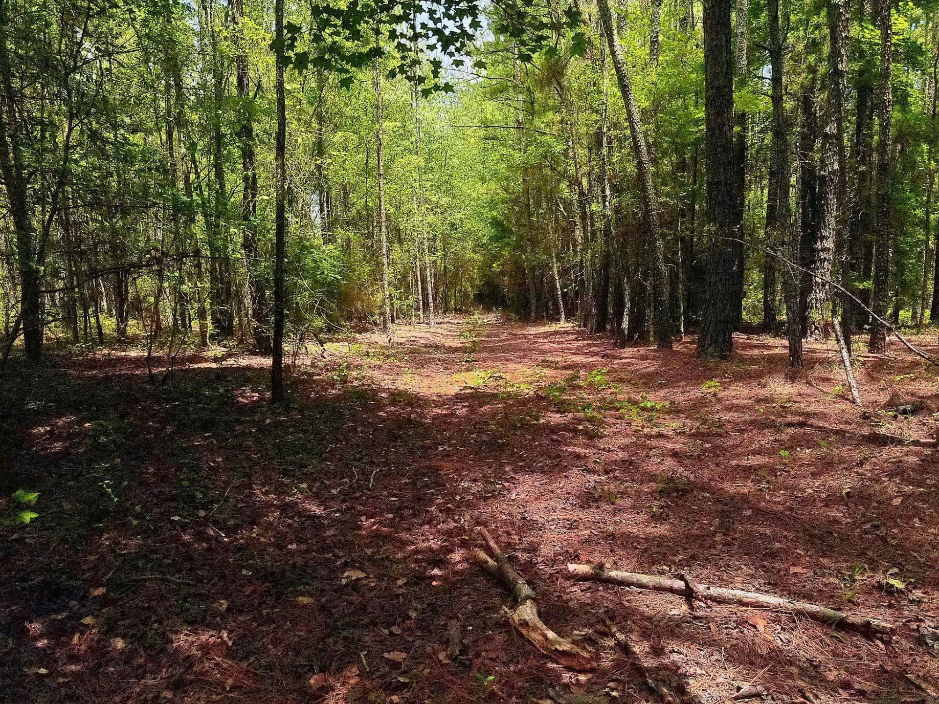 3435 Highway 430 Photo 10