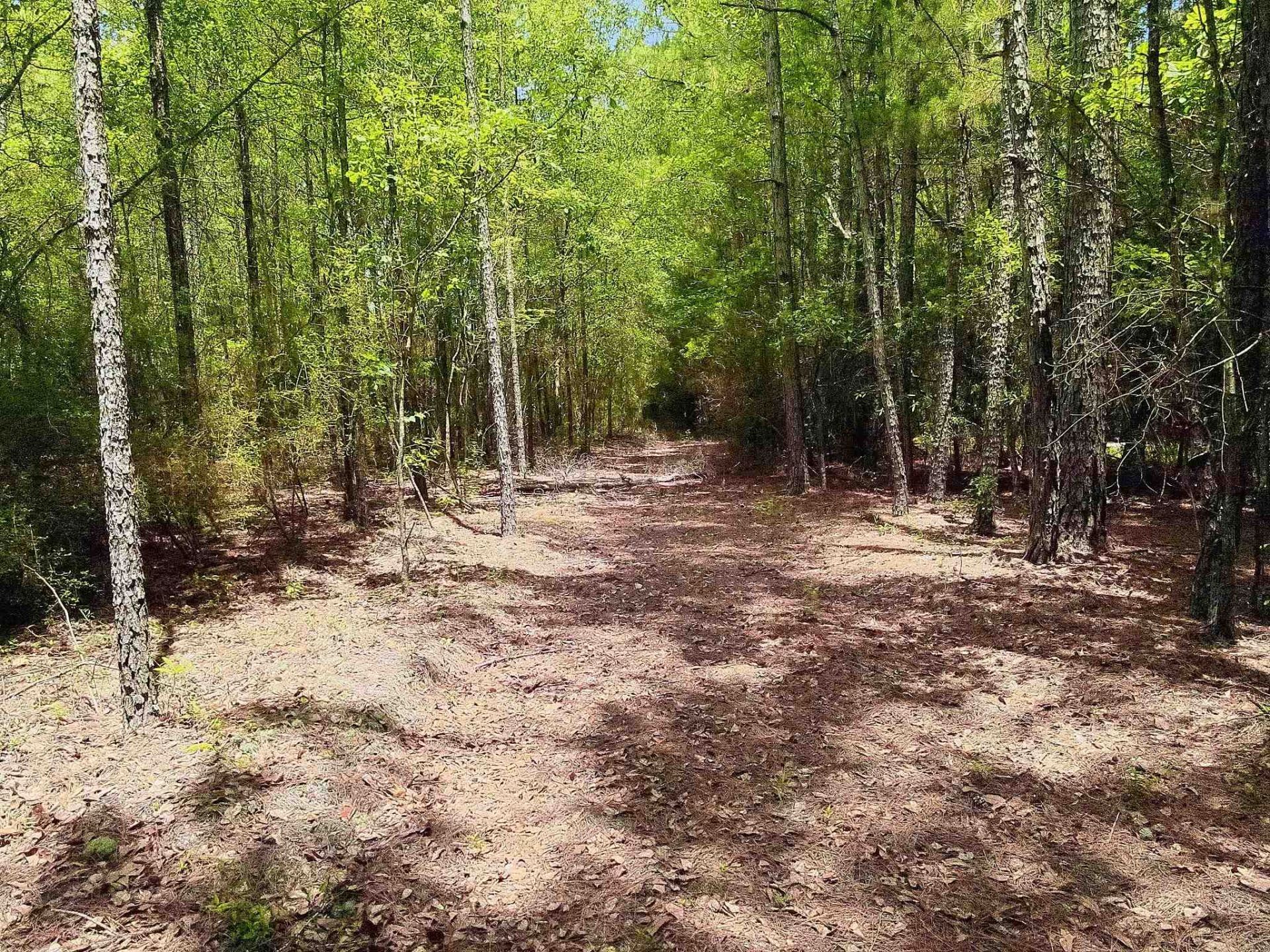 3435 Highway 430 Photo 11