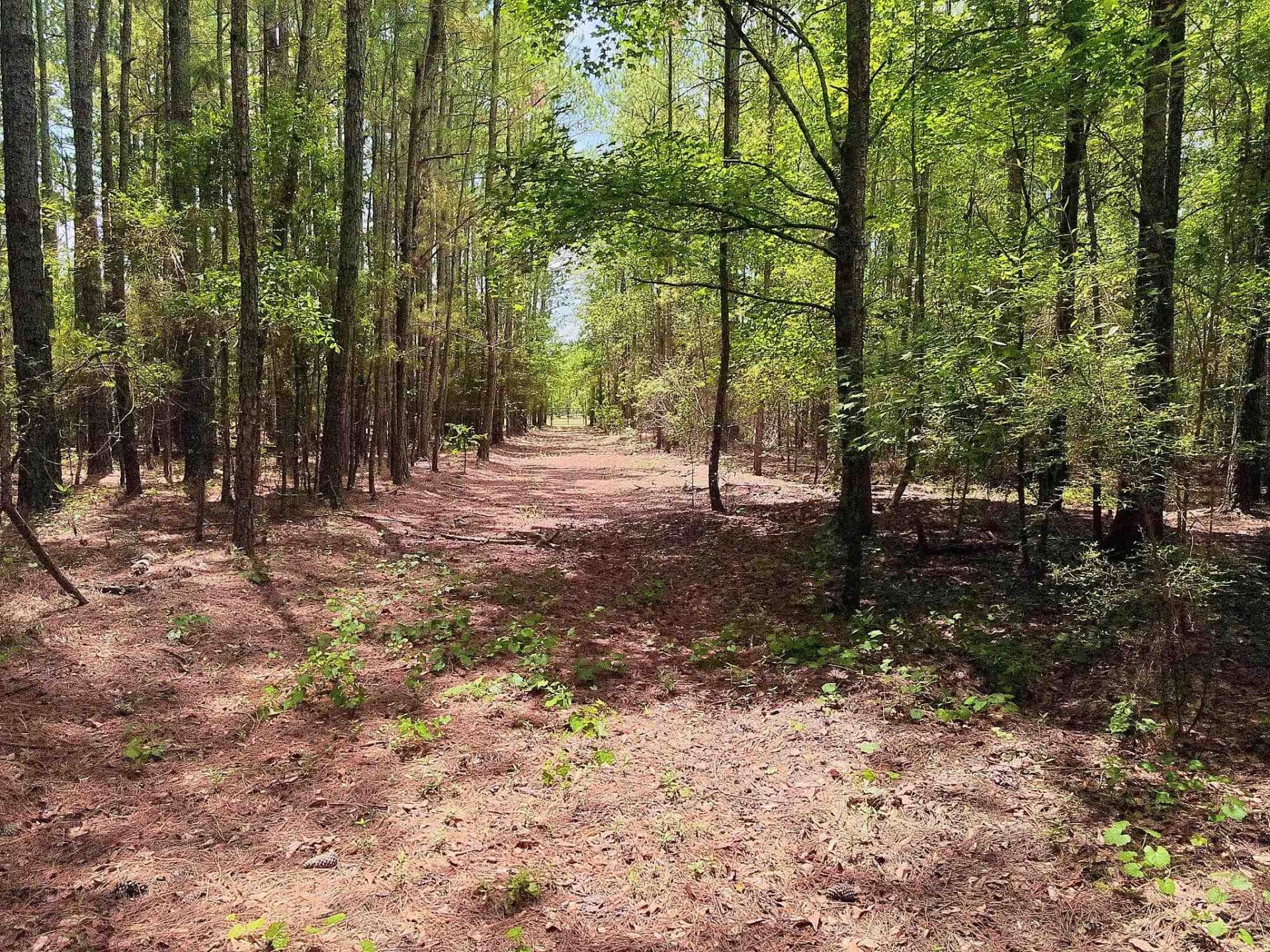 3435 Highway 430 Photo 12