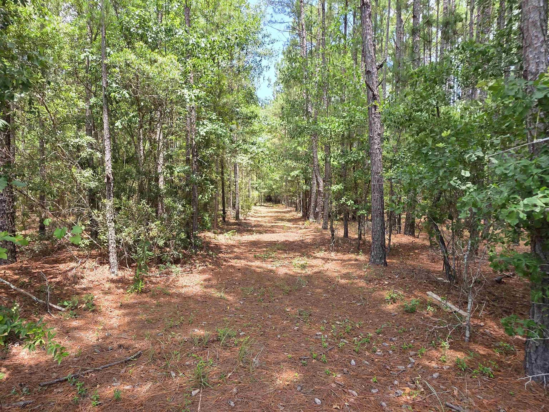 3435 Highway 430 Photo 13