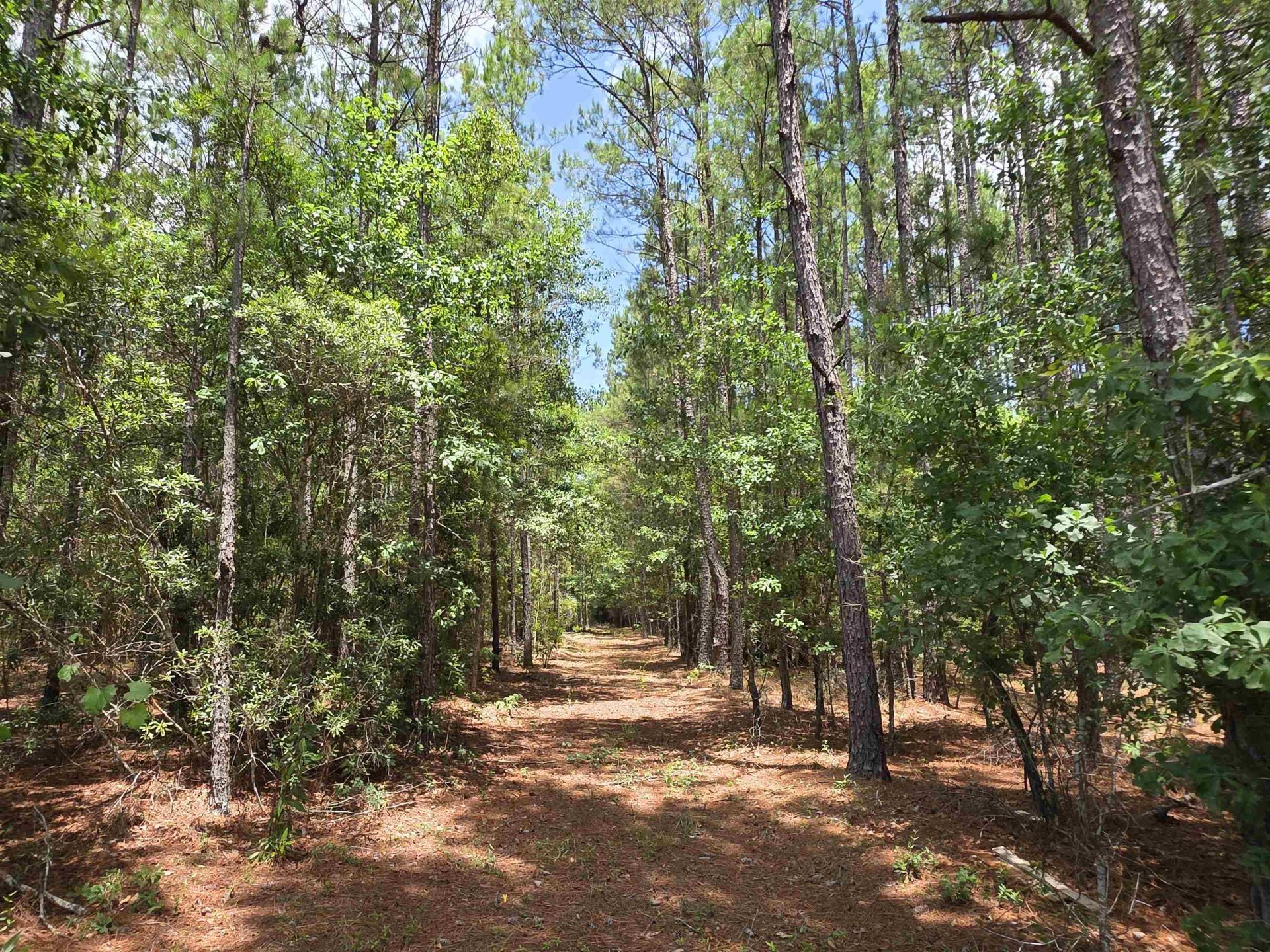 3435 Highway 430 Photo 14