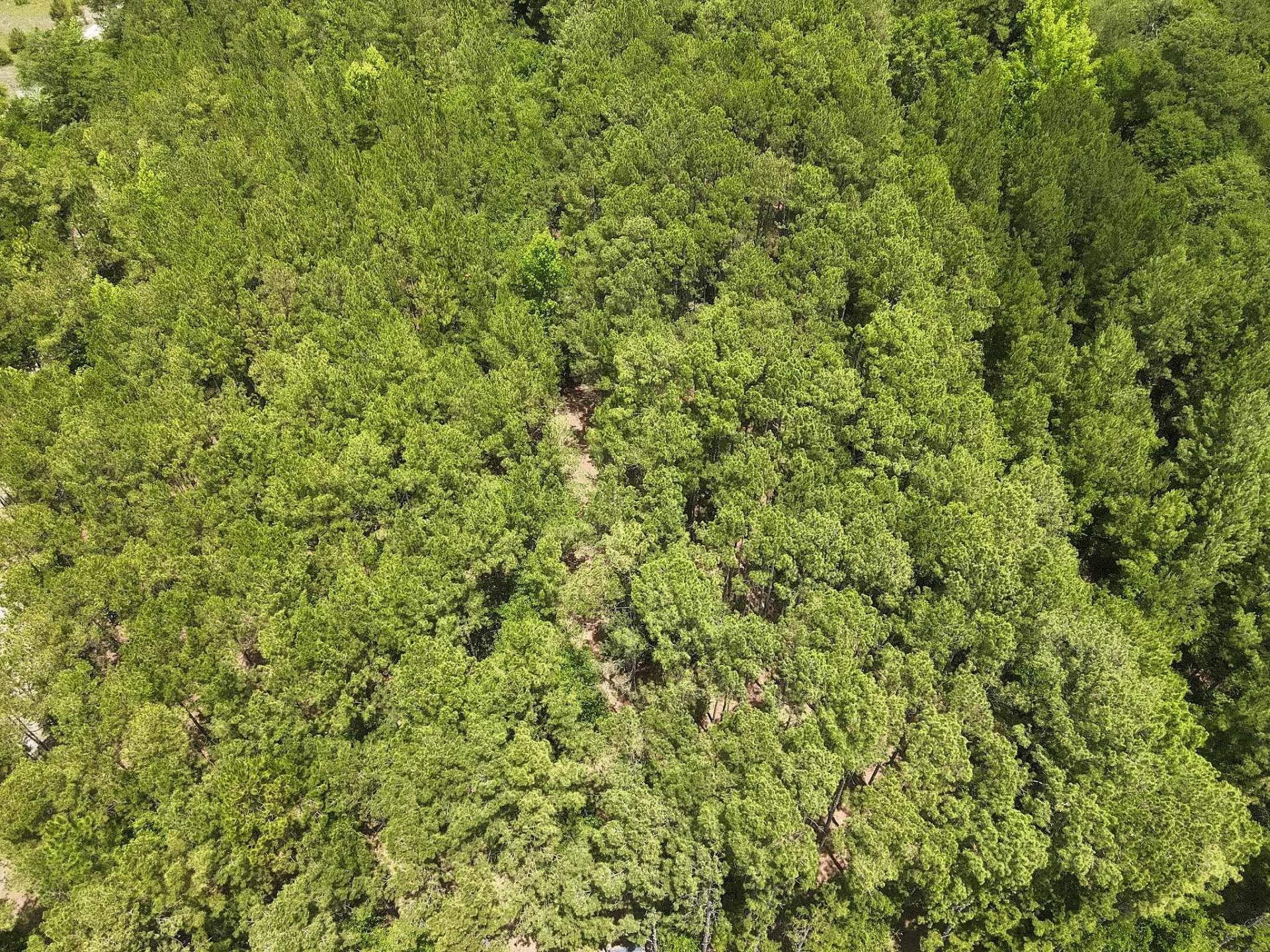 3435 Highway 430 Photo 15