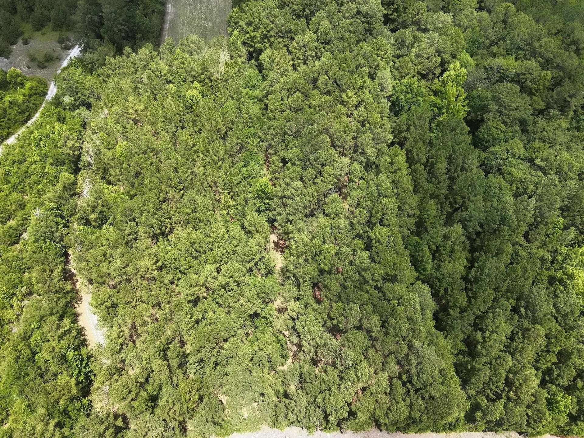 3435 Highway 430 Photo 16