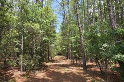 3435 Highway 430 photo 4