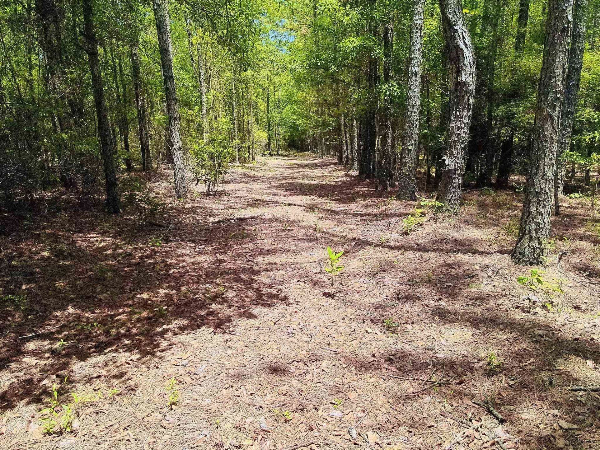 3435 Highway 430 Photo 5