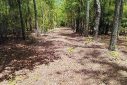 3435 Highway 430 photo 4