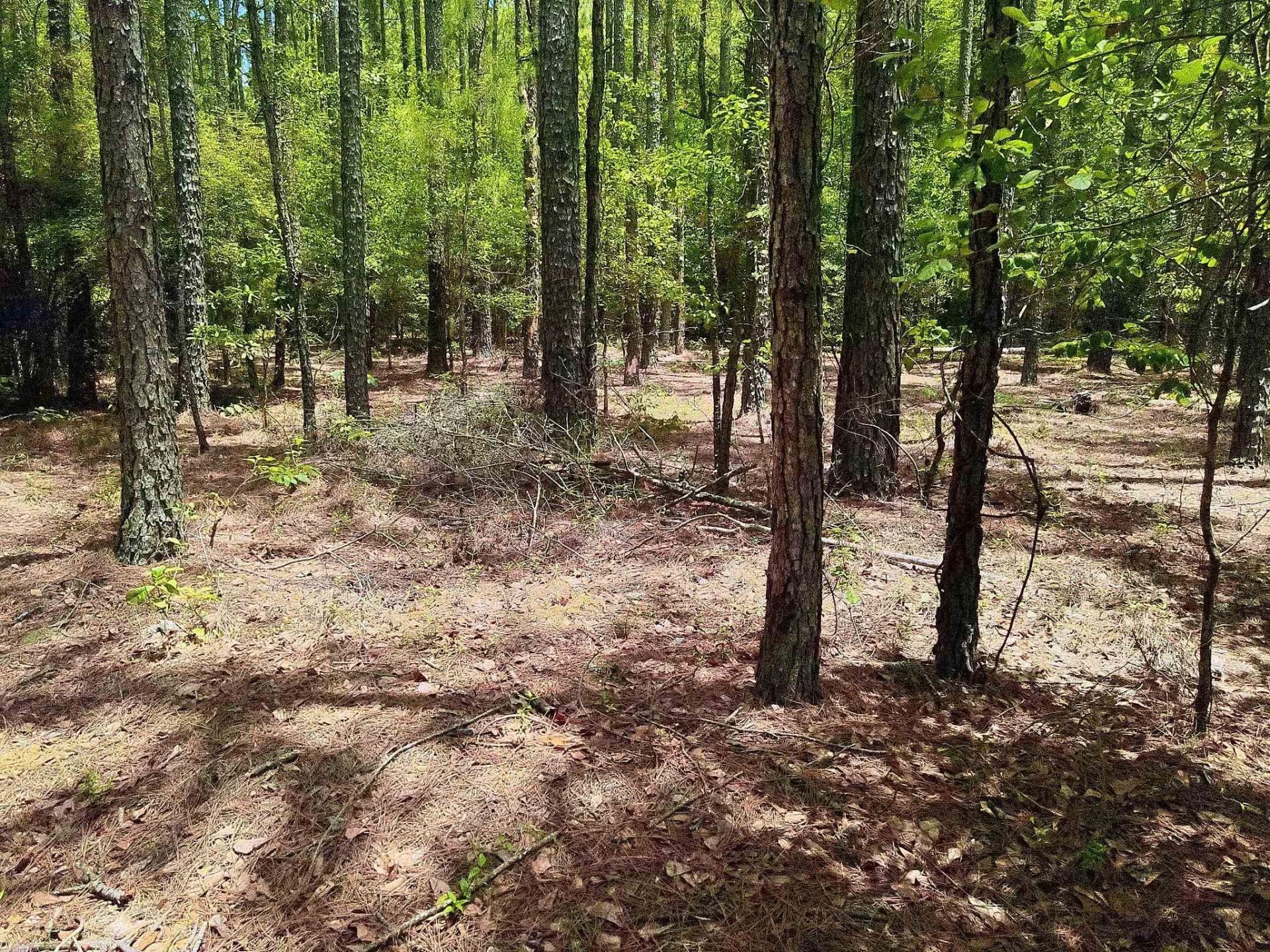 3435 Highway 430 Photo 6
