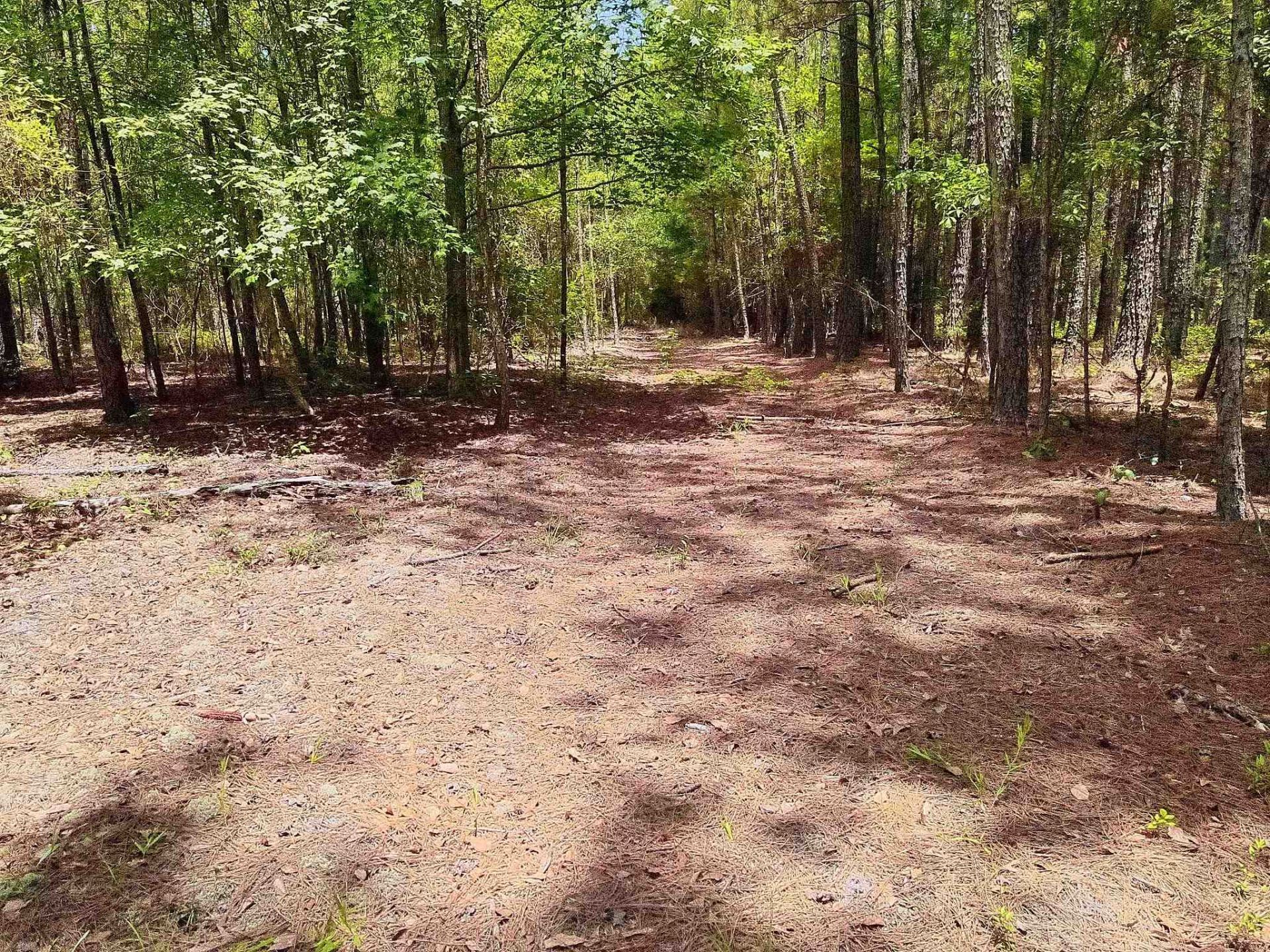 3435 Highway 430 Photo 7