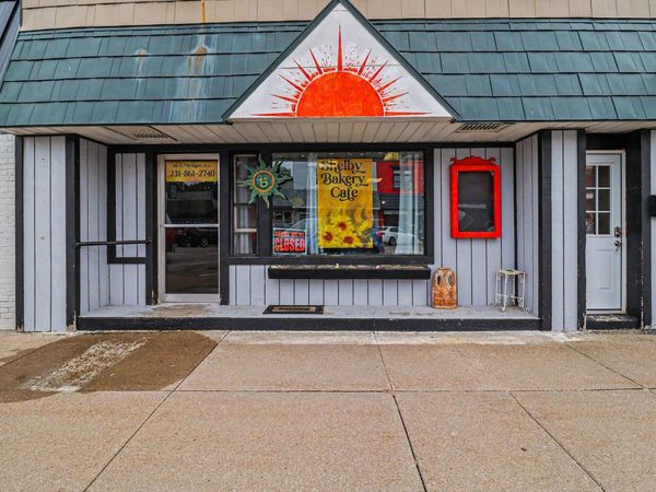 216 N Michigan Avenue, Shelby, MI 49455