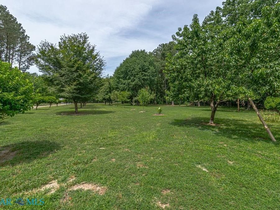 Property Image 81