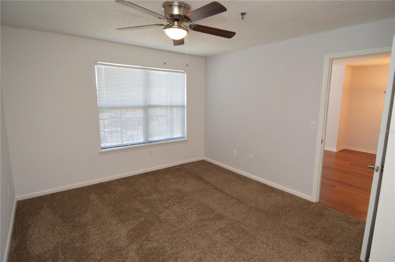 11901 4th Street N, Unit 7204, Saint Petersburg, FL 33716 Photo