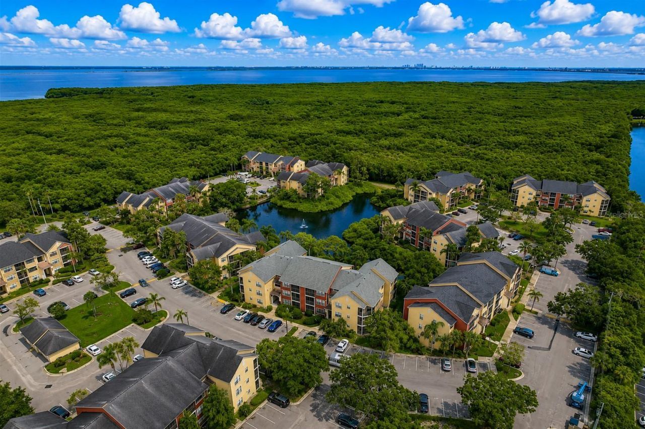 11901 4th Street N, Unit 7204, Saint Petersburg, FL 33716 Photo