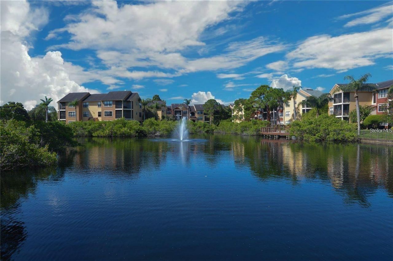 11901 4th Street N, Unit 7204, Saint Petersburg, FL 33716 Photo