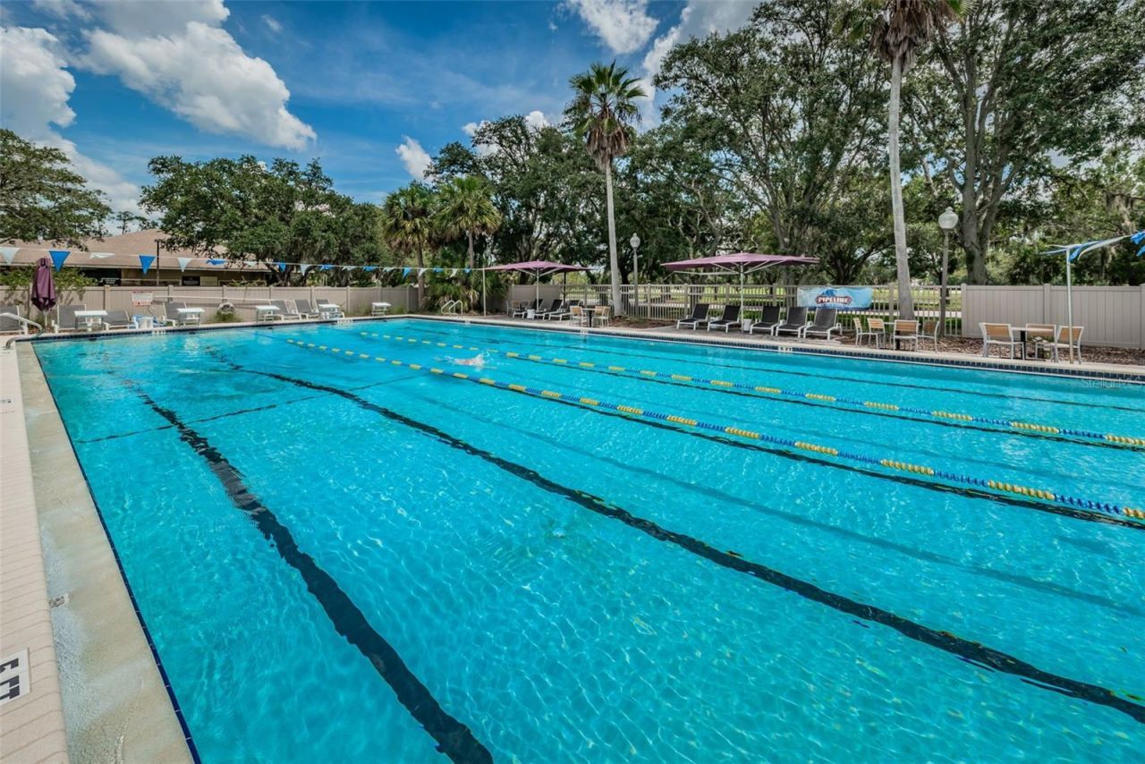 2055 Diamond Court, Oldsmar, FL 34677 Photo