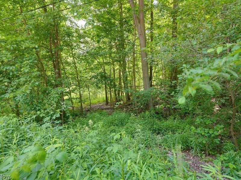 0 N Chillicothe Road, Aurora, OH 44202 Photo 11