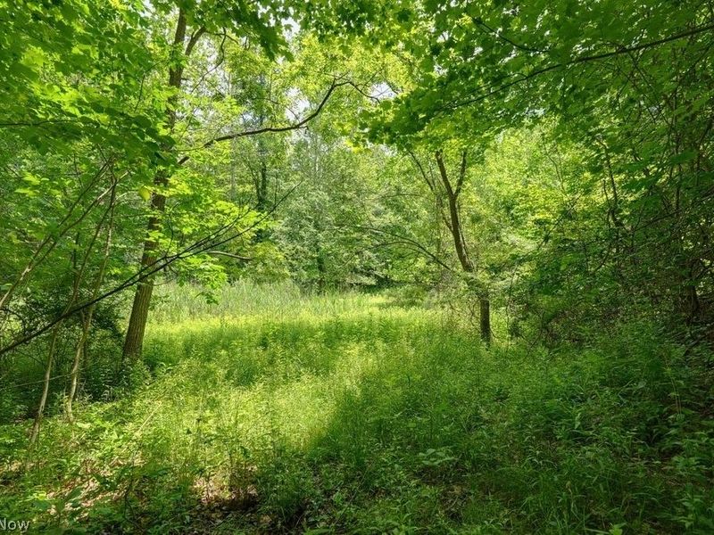 0 N Chillicothe Road, Aurora, OH 44202 Photo 12