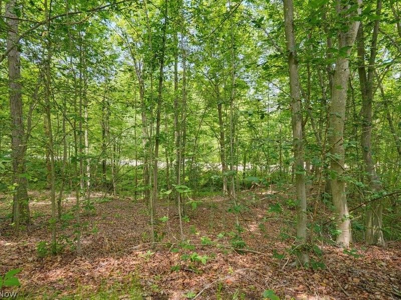 0 N Chillicothe Road, Aurora, OH 44202 Photo 13