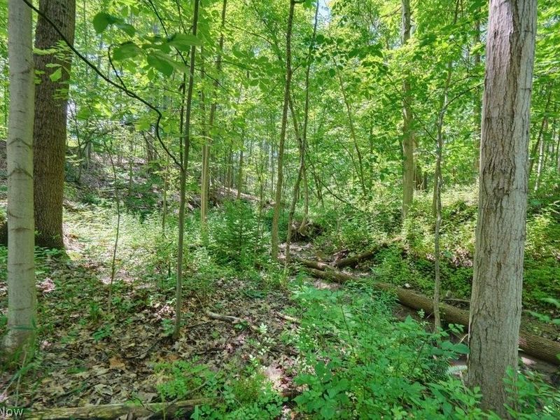 0 N Chillicothe Road, Aurora, OH 44202 Photo 20