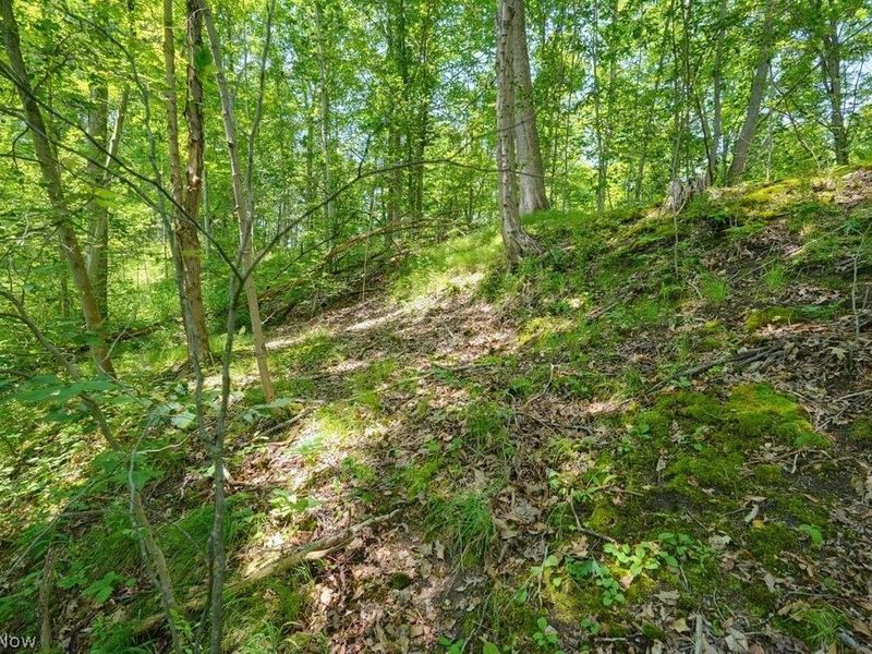 0 N Chillicothe Road, Aurora, OH 44202 Photo 24