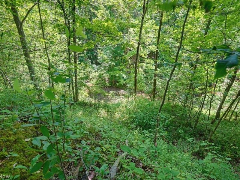 0 N Chillicothe Road, Aurora, OH 44202 Photo 27