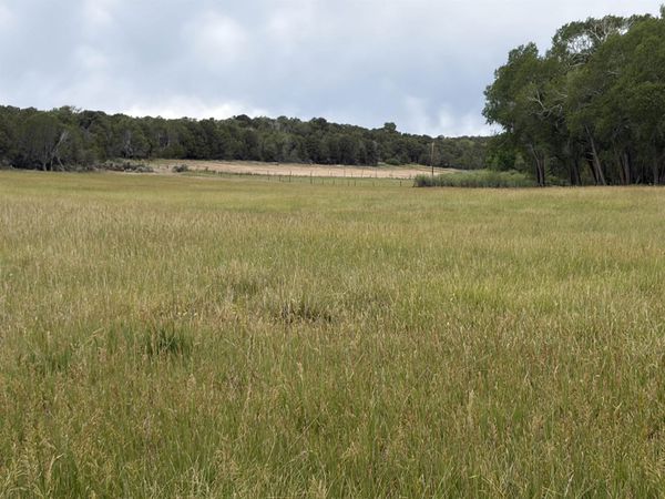 TBD Cactus Park Road, Cedaredge, CO 81413
