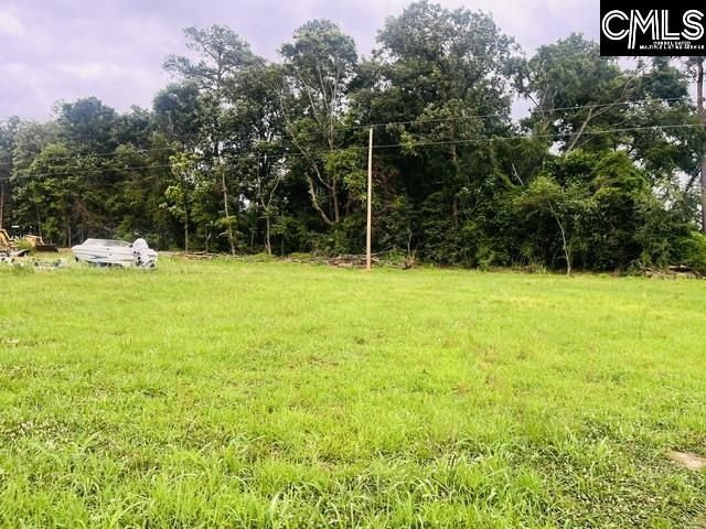 1161 Tom Moore Road Photo 10