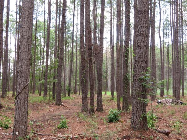 3231 Orchard Creek Road , Oriental, NC 28571