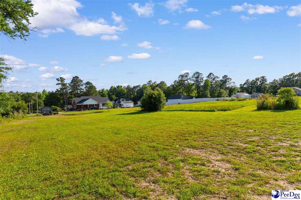 1332 Highway 319 Photo 39