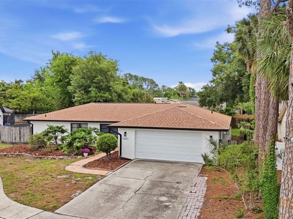 8307 VALLEJO PLACE, TAMPA, FL 33614