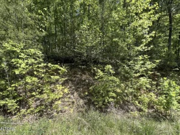 Lot 23 Green Meadows Dr , Sevierville, TN 37876