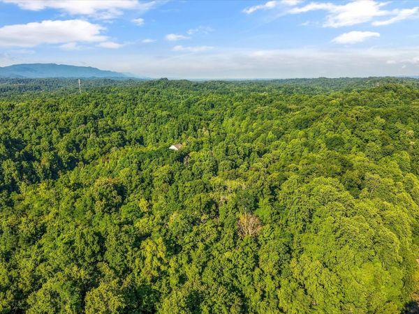 1717 Long Branch Rd , Seymour, TN 37865