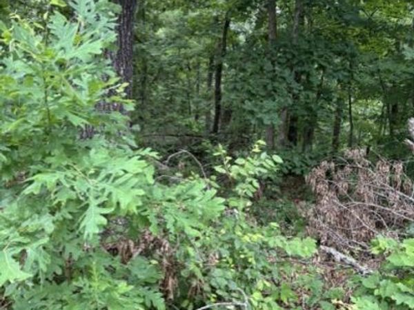 Lot 14 Epping Drive , Bella Vista, AR 72714
