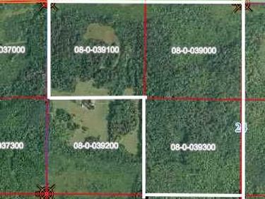 TBD 430th Lane, Fleming Twp, MN 56469