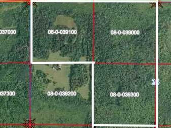TBD 430th Lane, Fleming Twp, MN 56469