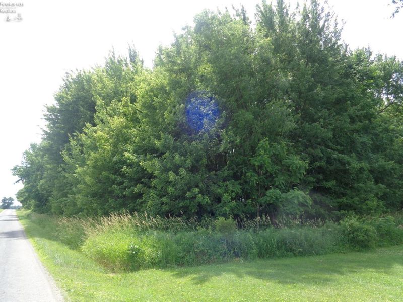 397 Plymouth East Road, Greenwich, OH 44837 Photo 7