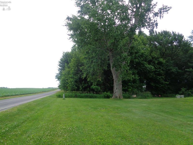 397 Plymouth East Road, Greenwich, OH 44837 Photo 8