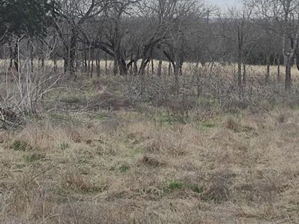 138 PR 226 Road , Whitney, TX 76692