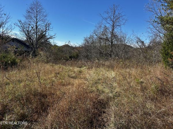 Shaddon Road Lot 1 , Tellico Plains, TN 37385