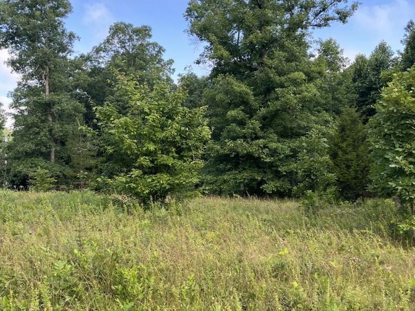 0 Henley Drive, Altamont, TN 37301
