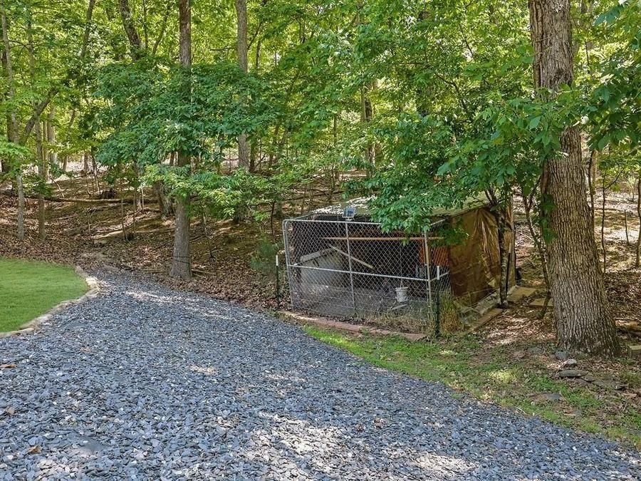 Property Image 61