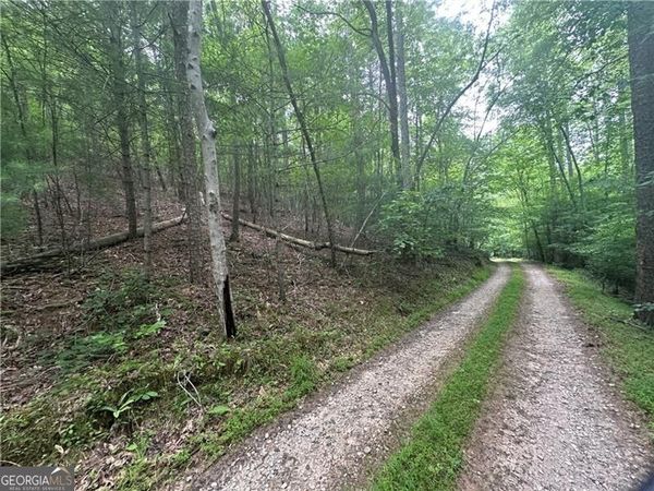 TRACT1 New Bethel Ch Road, Dawsonville, GA 30534
