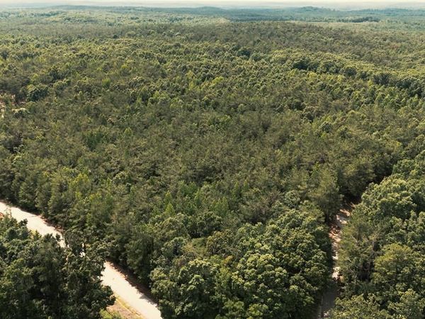 00 County Road 34, Etta, MS 38627