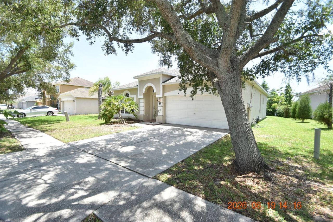 1625 Open Field Loop, Brandon, FL 33510 Photo